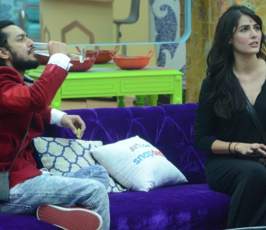 Bigg Boss 9 Episode 23 – November 03, 2015 – NEW LUXURY BUDGET TASK