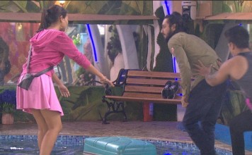 Bigg Boss 9 Episode 25 – November 05, 2015 – SECOND WILD CARD ENTRY OF THE SEASON – PUNEET VASHIST